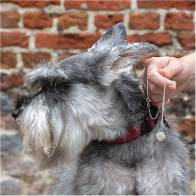 Silver pendant with paw print