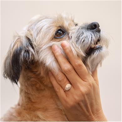 Silver ring with nose print