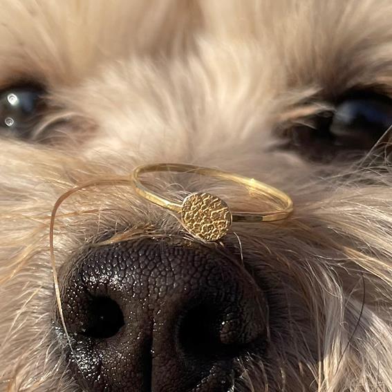 Nose and paw print jewelry