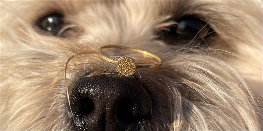 Nose and paw print jewelry